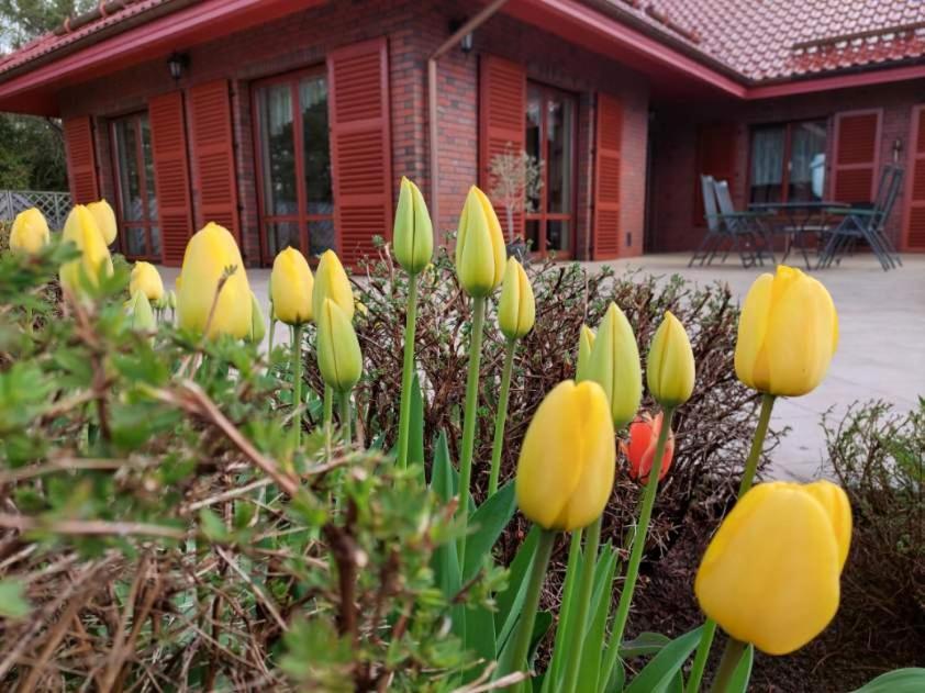 Bed and Breakfast Port Jeziorak Илава Экстерьер фото